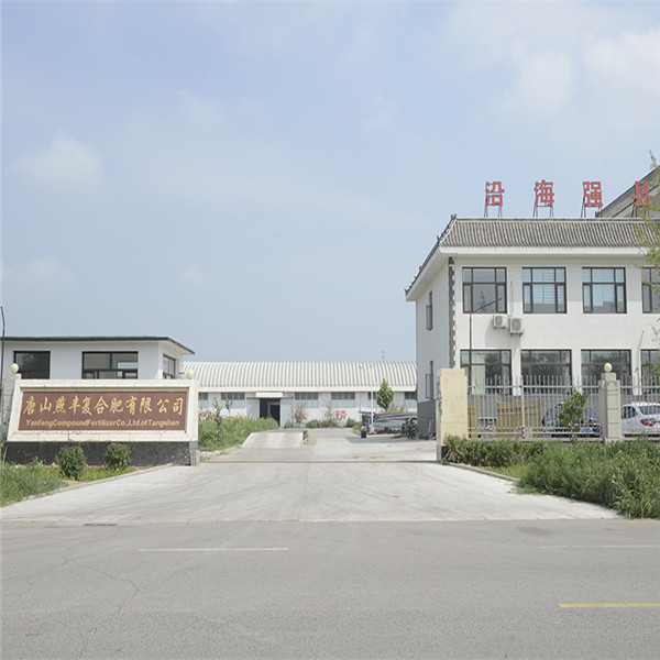 悟空体育复合肥厂区门口